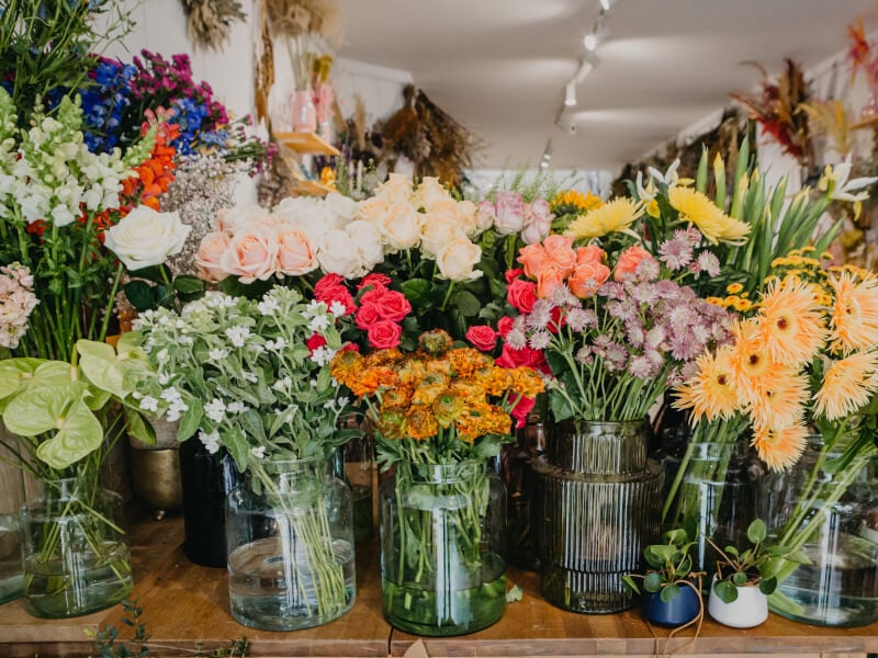 Jars of various flowers on a bench